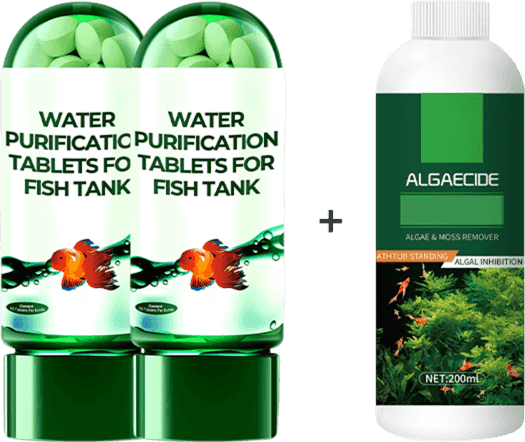🔥Hot sale♻️💧Powerful Aquarium Water Purification Tablet